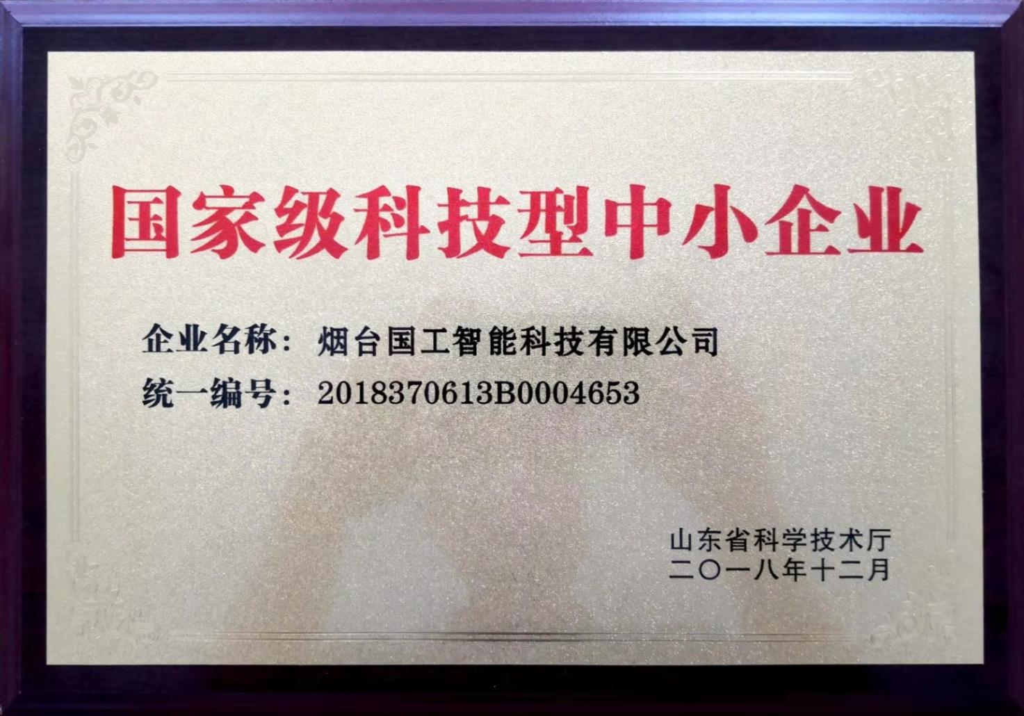 国家级科技型中小企业